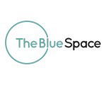 Digital Marketing Agency, Website Design & Development, SEO Services in partnership with The Blue Space