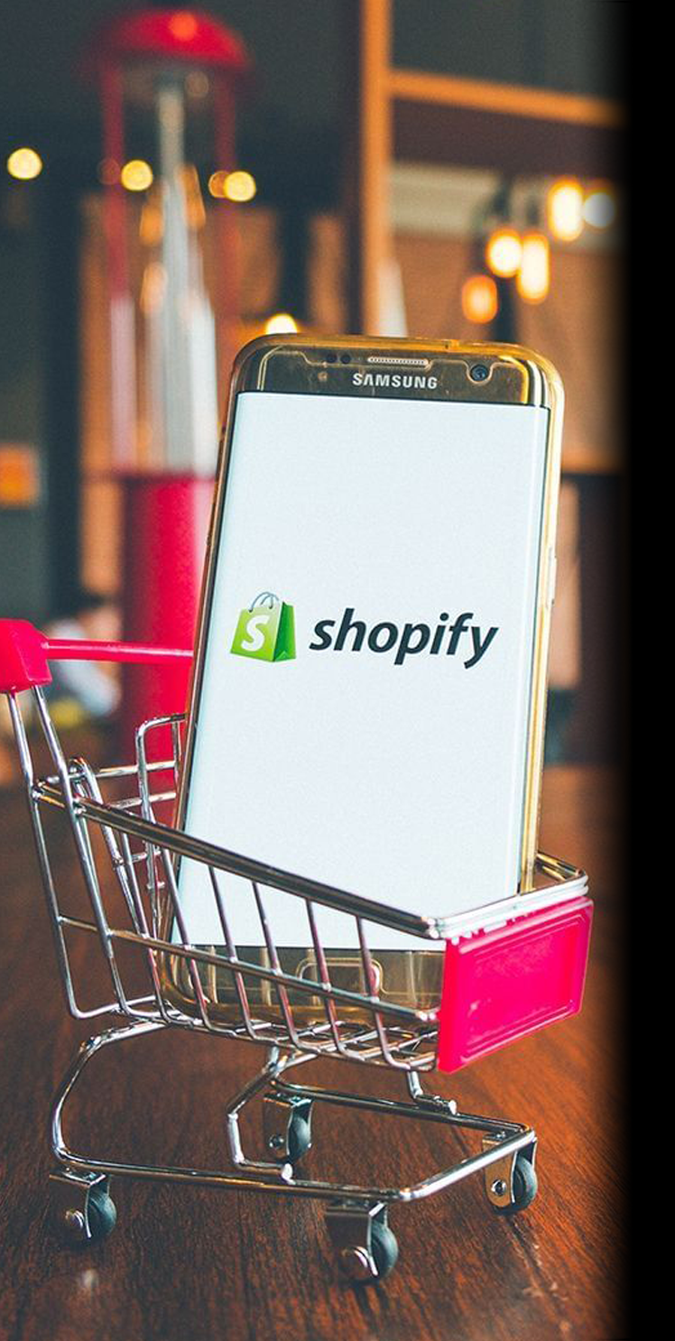 Shopify Ecommerce Website Development