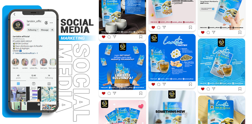 Social Media Marketing Service for Lariskin