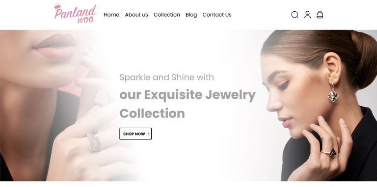 Website Development - Panlandwoo