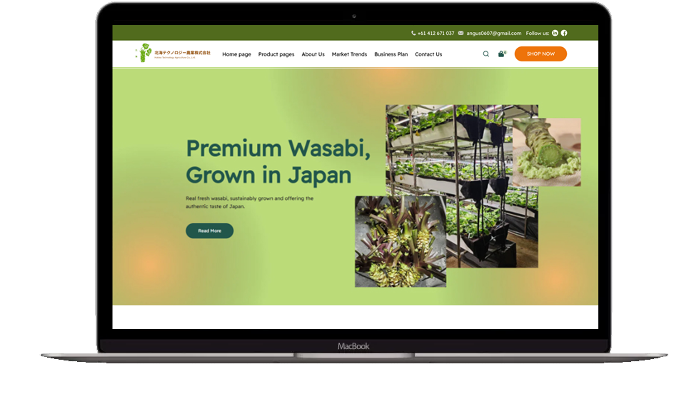 Wasabi Hokkaitech - Website Development