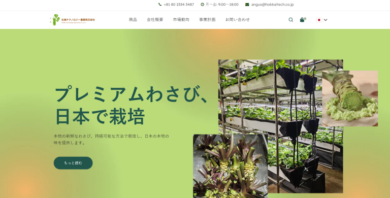Wasabi Hokkaitech - Website Development