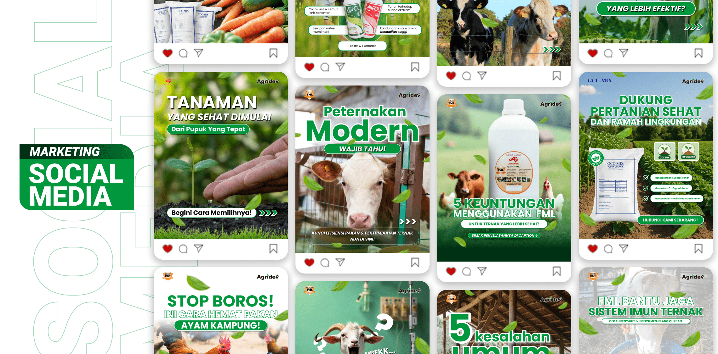 Social Media Marketing – Agridev