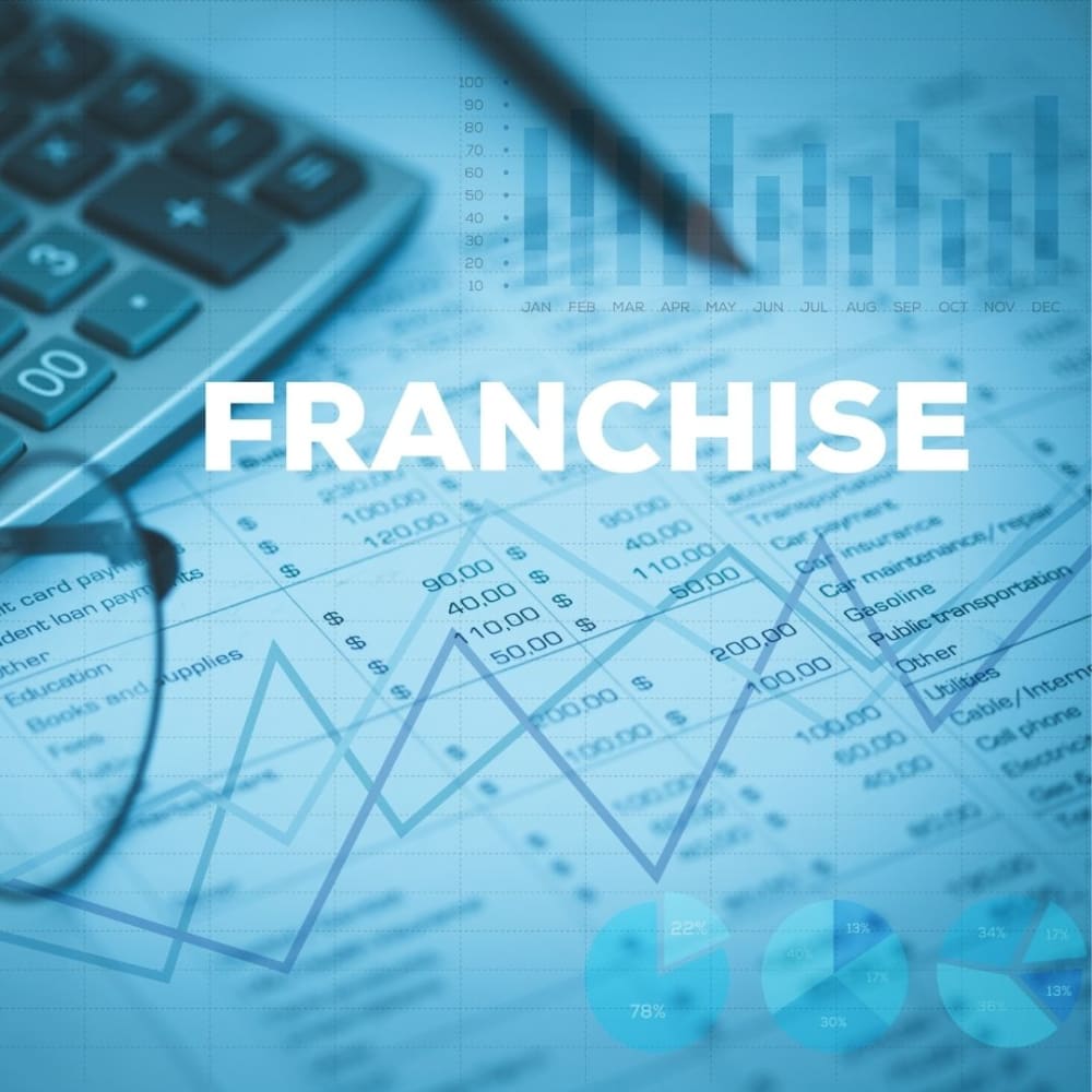 Google Ads Franchise Optimization Performance Max Lead Generation