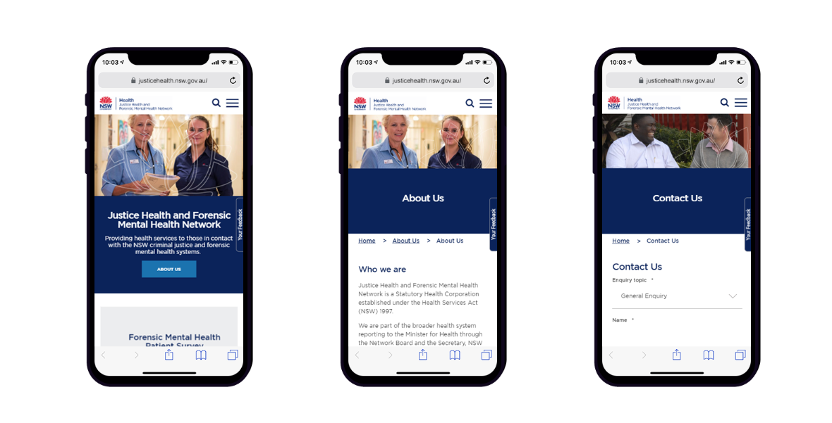 Website Development for The Justice Health and Forensic Mental Health Network (2)