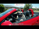AI Video Ads Generation for Our Client - Properties Unlimited Group | Complete Home Solutions