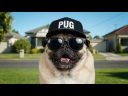 AI Video Ads Generation for Our Client - Properties Unlimited Group | Complete Home Solutions